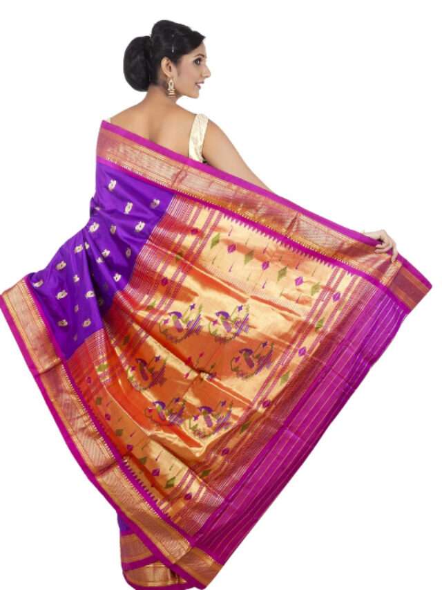 Pattu/Silk sarees (India),paithani sarees,Kanchipuram silk sarees